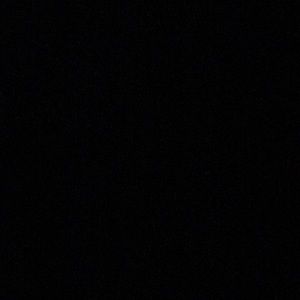 Meet your Posher, Tanner